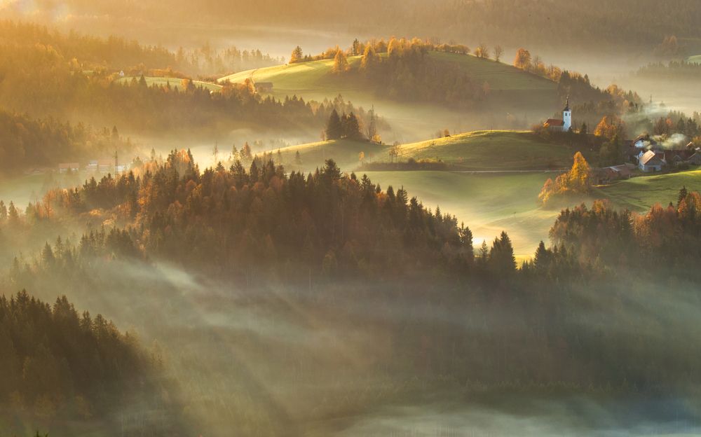 Photograph by Adrian Adi Gli