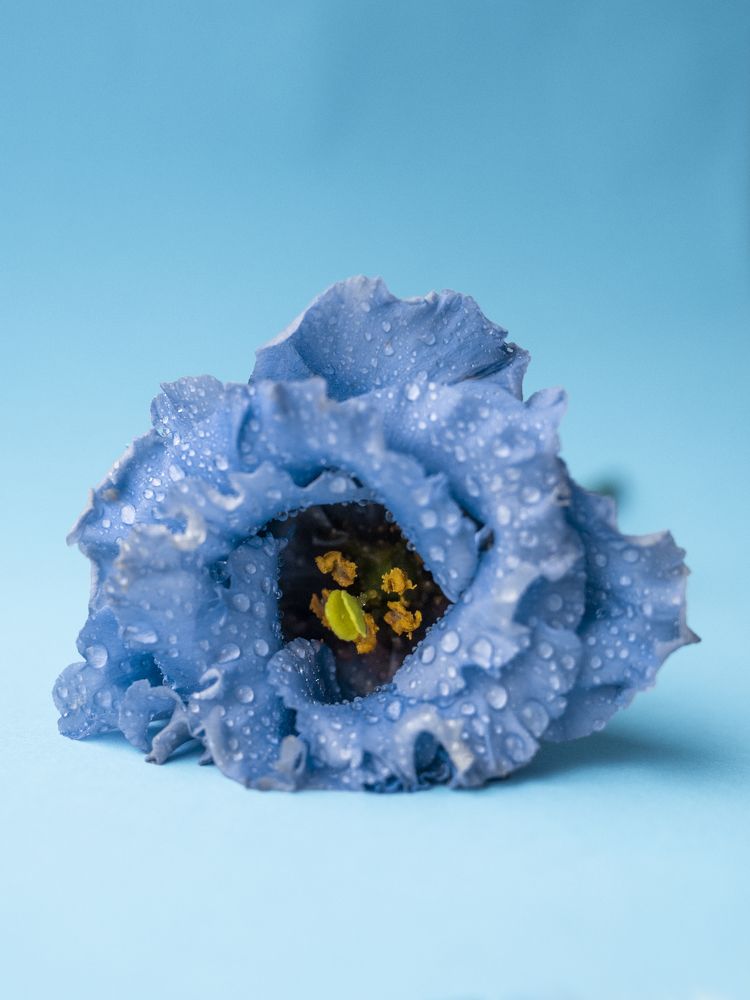 Photograph by Екатерина Бердутина