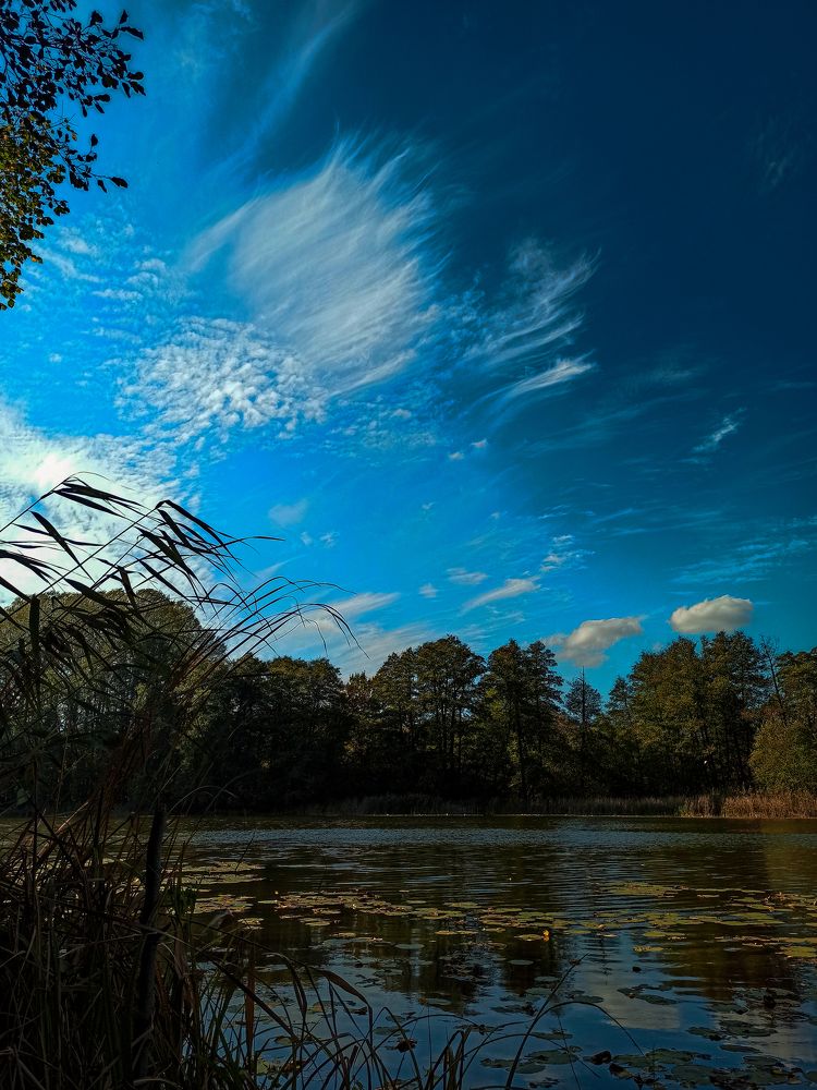 Photograph by Ирина Дегтярева