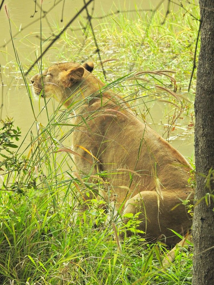 Photograph by Pragna Swaroop