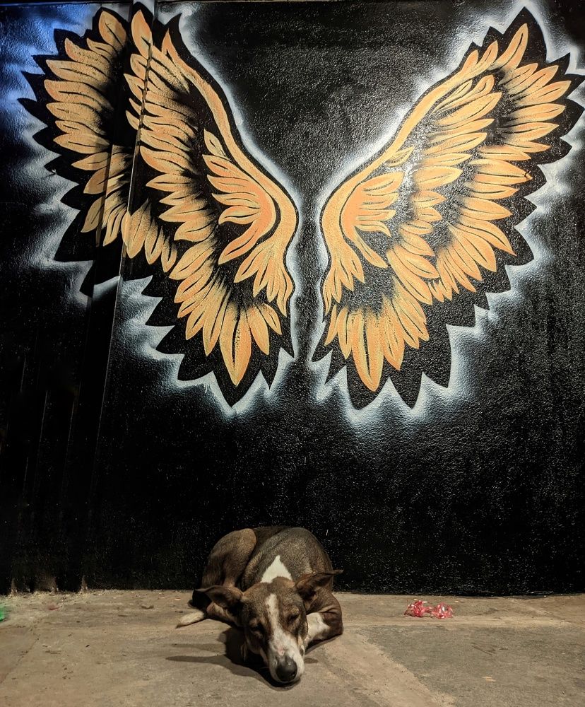 Photograph by Vijayakumar