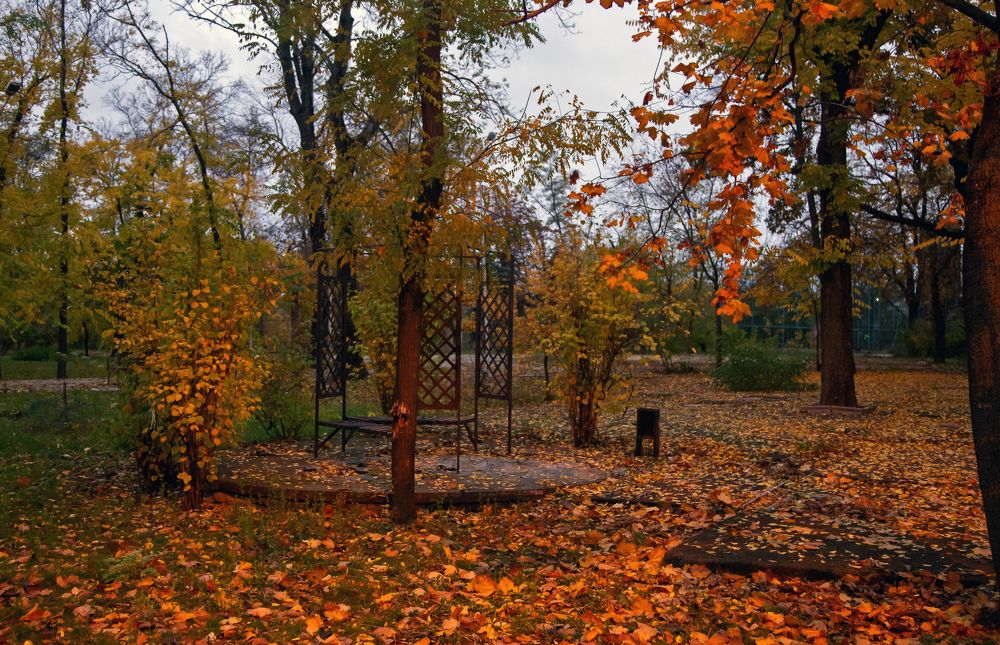 В осеннем парке...