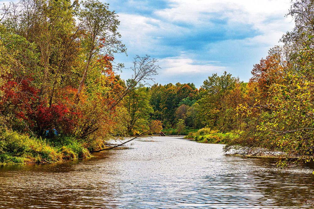 Photograph by Леонид Соболев