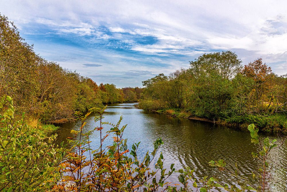 Photograph by Леонид Соболев