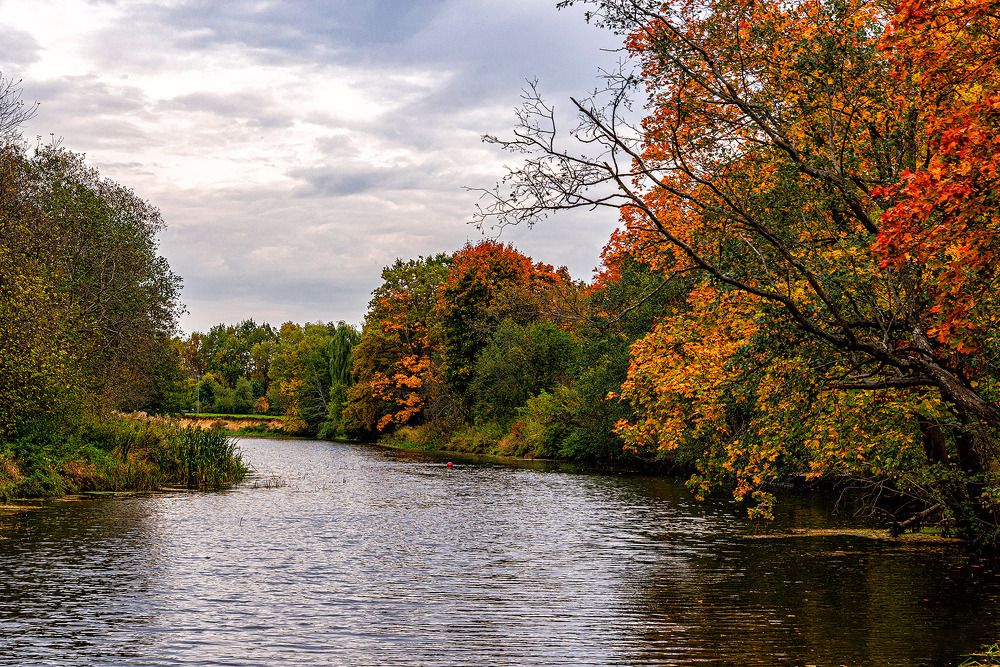 Photograph by Леонид Соболев