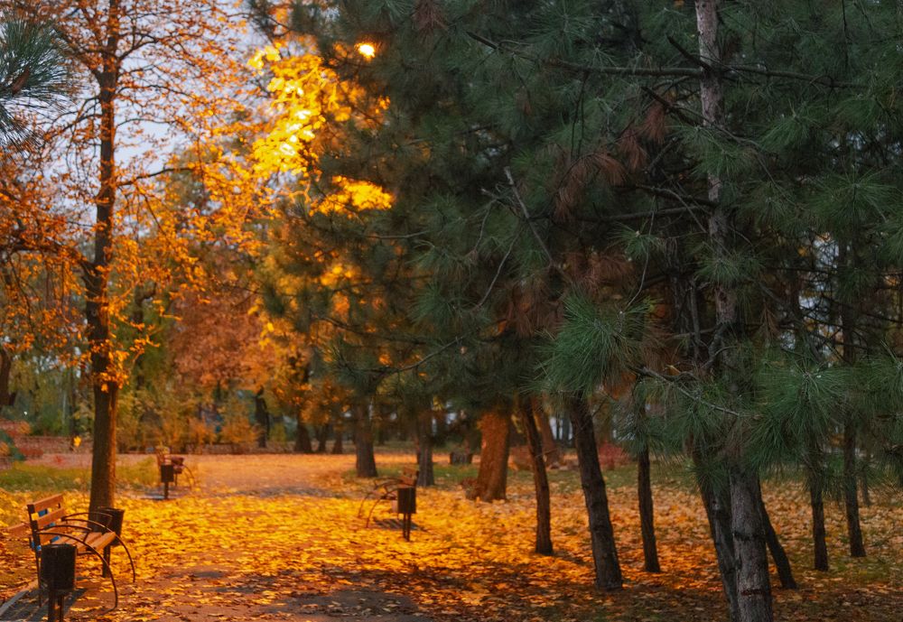 В Мариуполе осень…