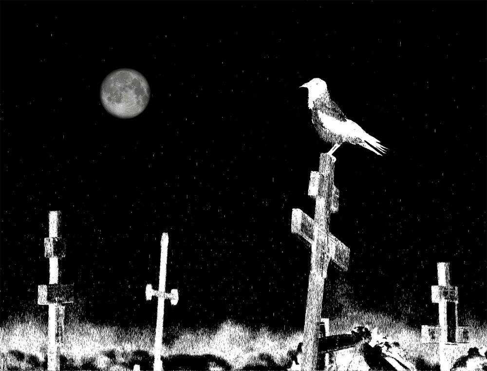 Photograph by Анатолий Максимов