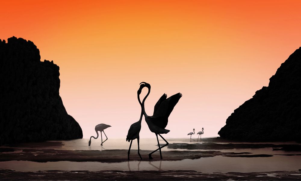 Photograph by Вадим Городницкий