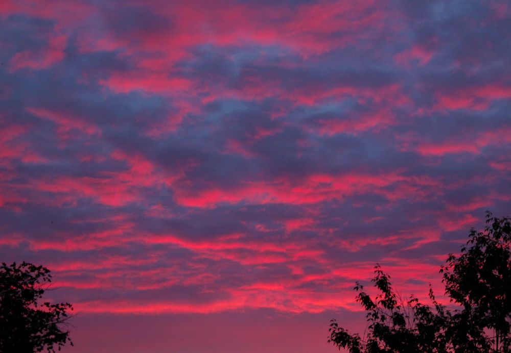 Photograph by Артём Шестаков