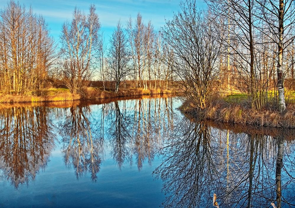 Photograph by Лидия Ушакова