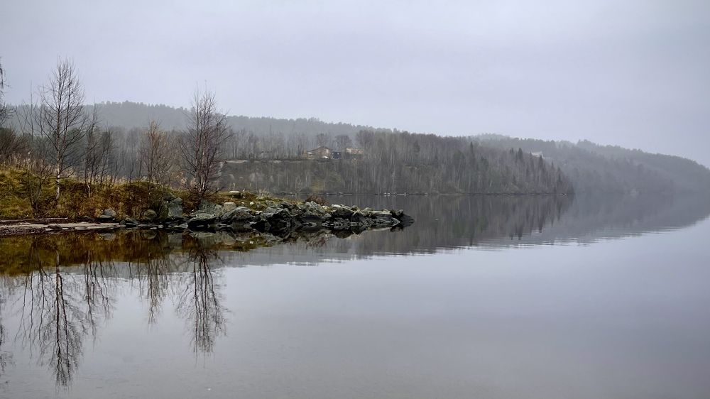 Фотография автора Юлия Шумейко