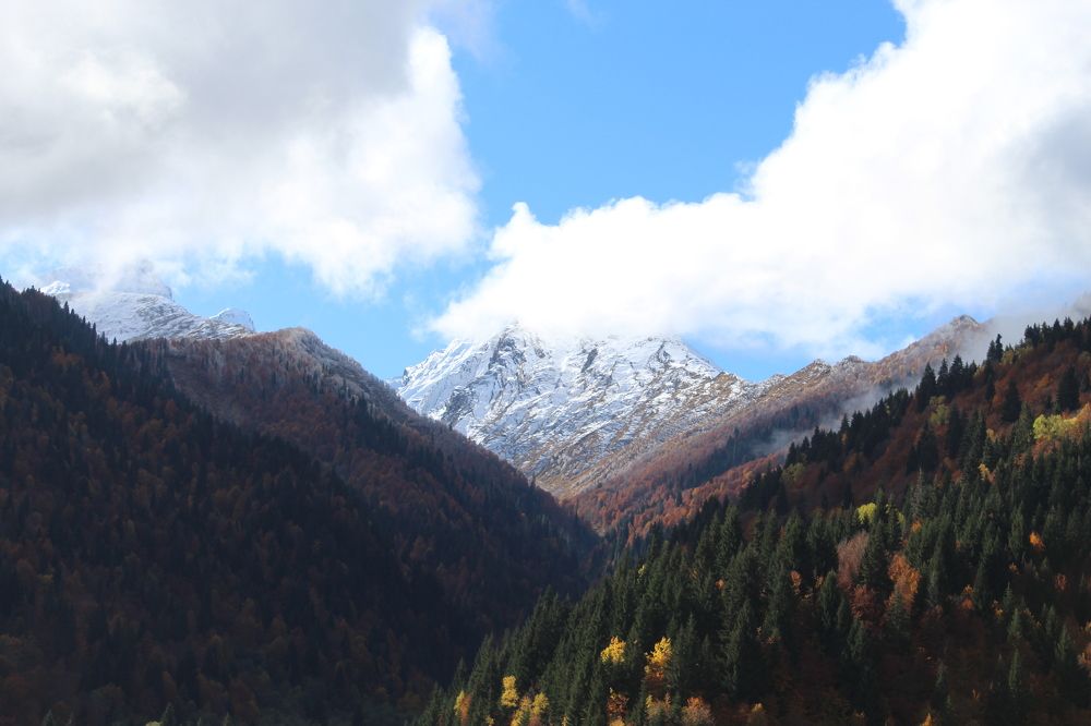 Фотография автора Mari Martiashvili