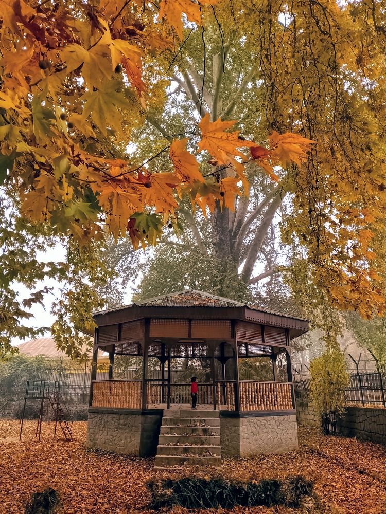 Photograph by Firdous Parray