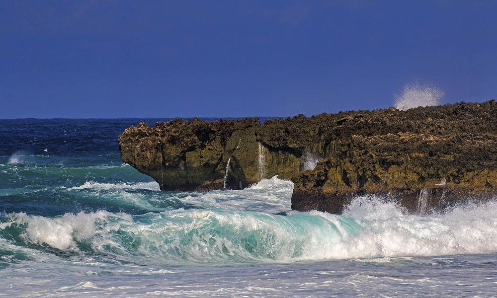 Photograph by Михаил Баевский