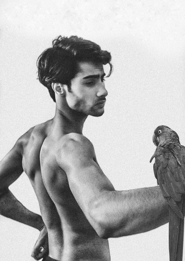 Majestic Moment: A Shirtless Man and His Vibrant Parrot