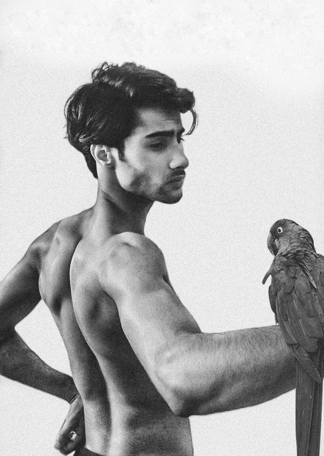 Majestic Moment: A Shirtless Man and His Vibrant Parrot