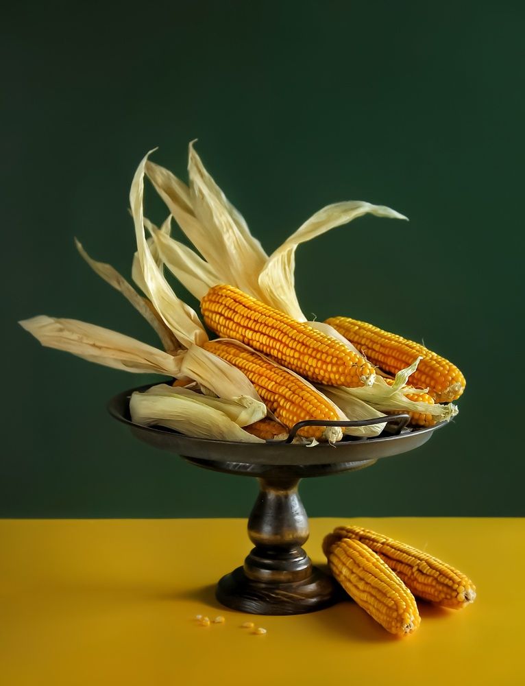 Фотография автора Елена Доянова