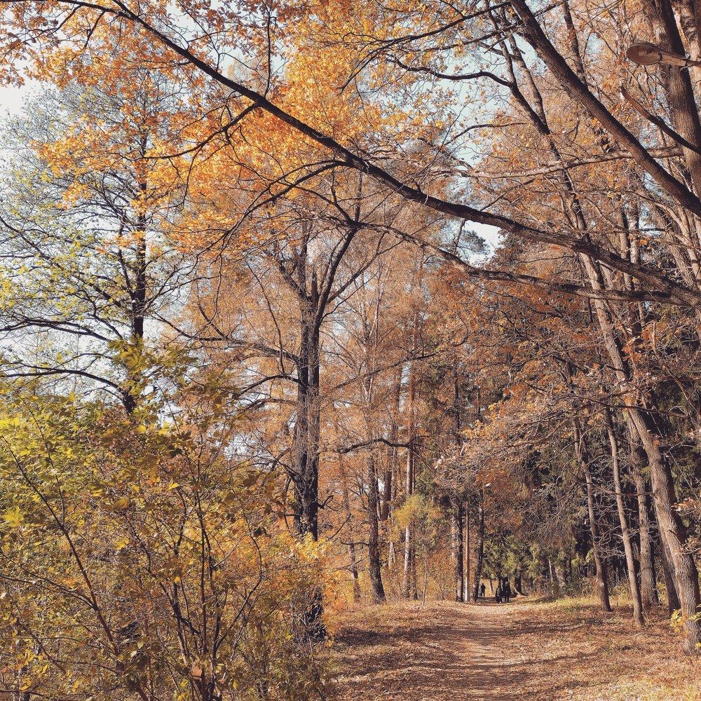 Photograph by Дзен Сергей