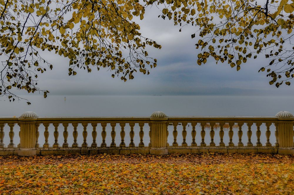 Фотография автора Ковяк Сергей Васильевич