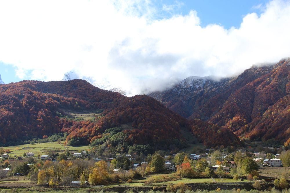 Фотография автора Mari Martiashvili