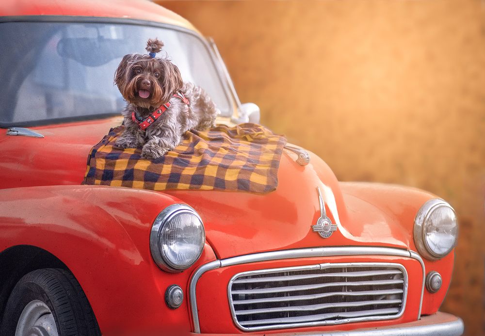 Фотография автора Eugenia Tuzova