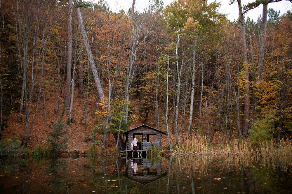 Photograph by Антон Стриж