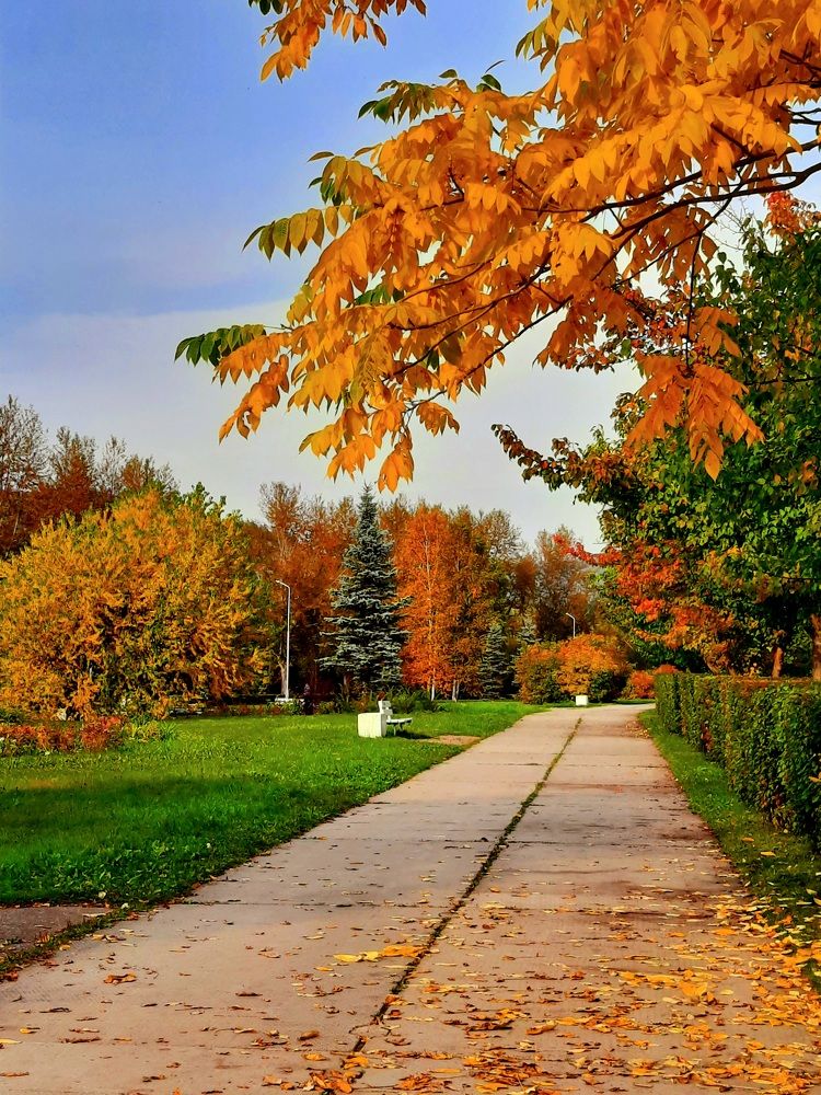 Осень в городе.