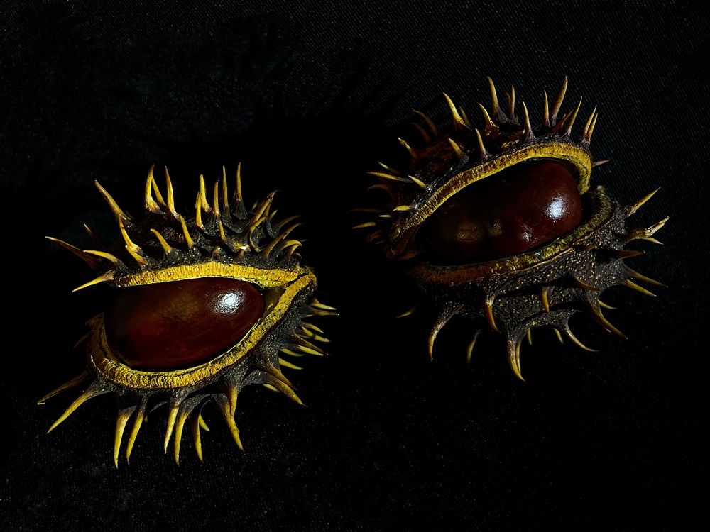 Фотография автора Рамзия Хисамутдинова