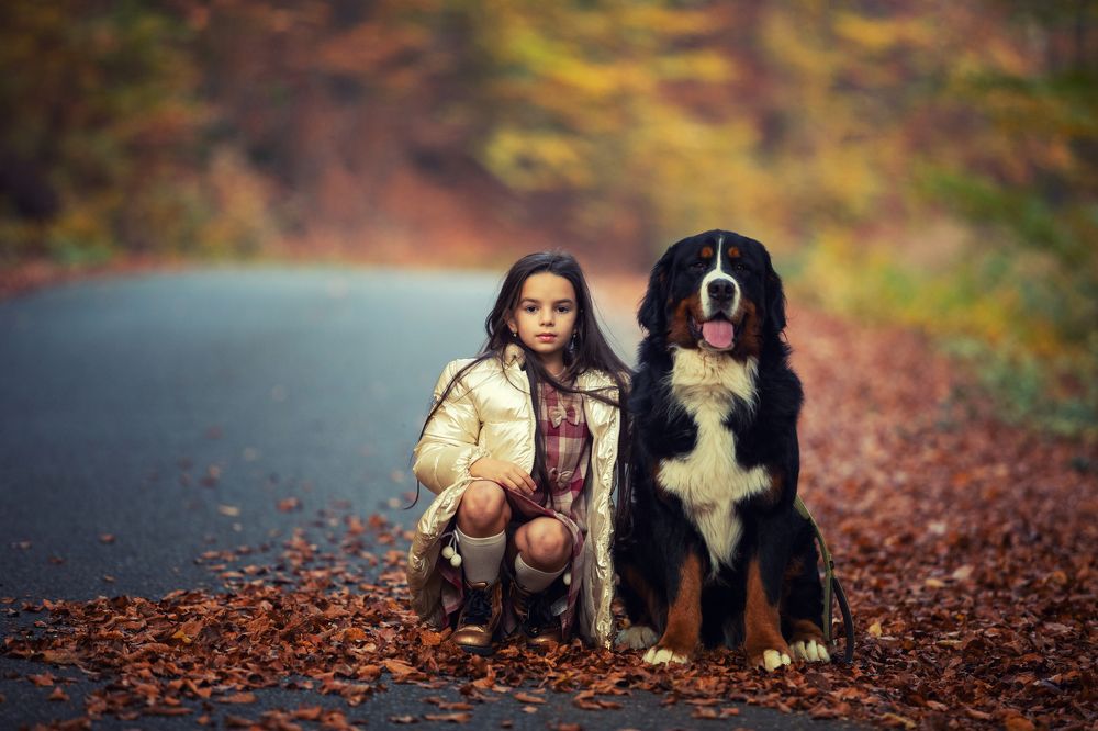 Photograph by Mihai Romeo Bogdan