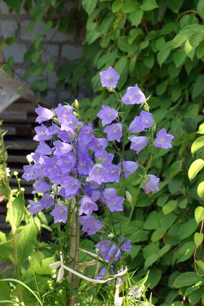 Photograph by Ирина Федичева