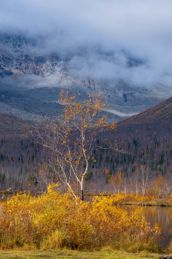 Photograph by Михаил Азаров