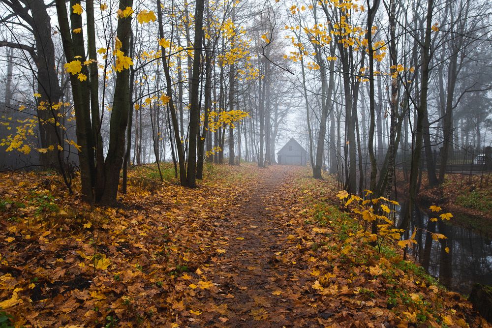 Photograph by Сергеева Марина
