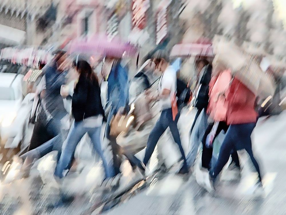 Фотография автора Елена Лаврова