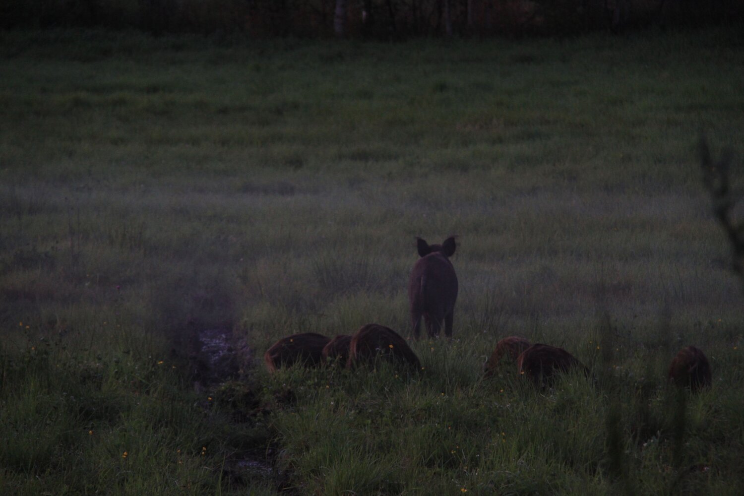 Photo #8292723