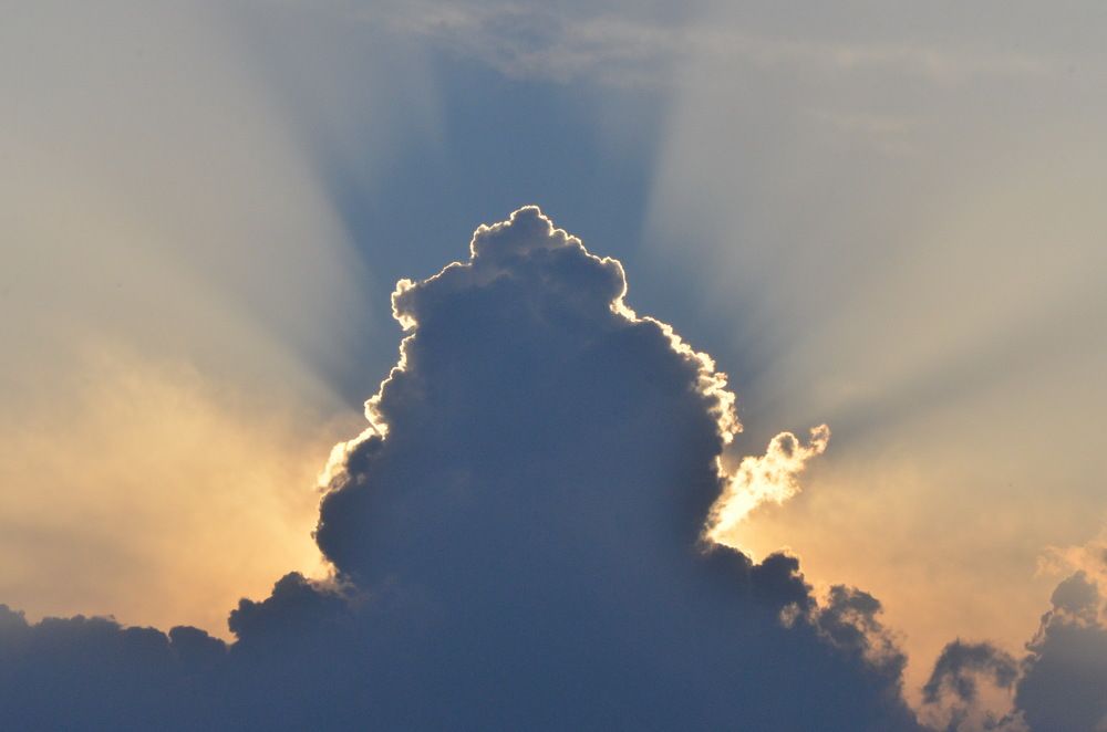 Photograph by Irina Ricova