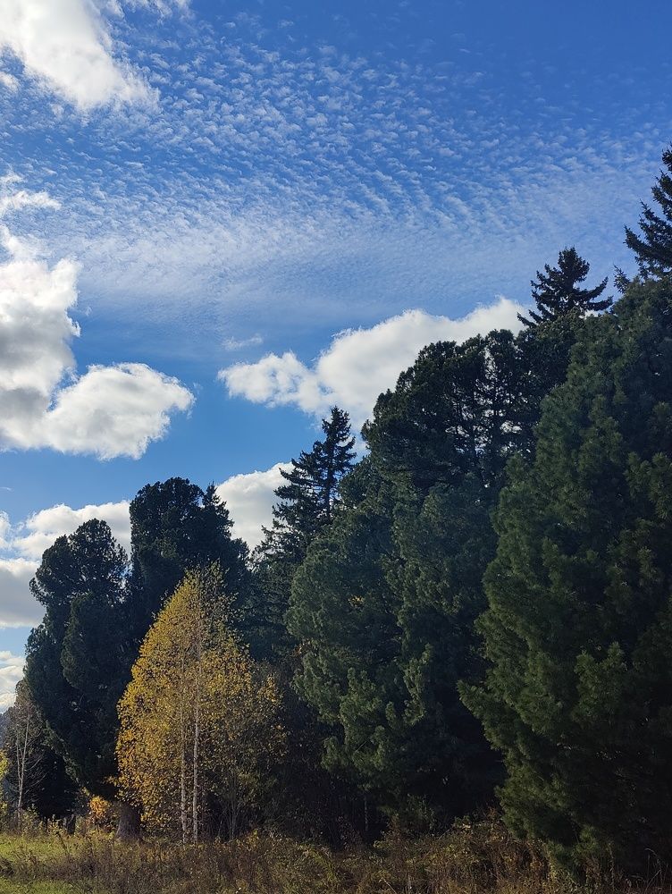 Photograph by Татьяна Гулакова