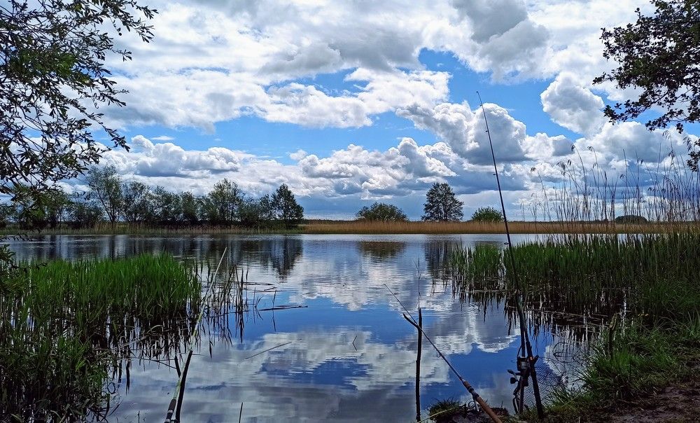 Photograph by Жигульский Сергей