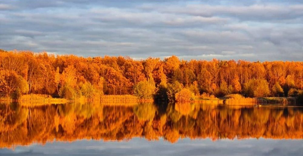 Photograph by Elena Lukashina