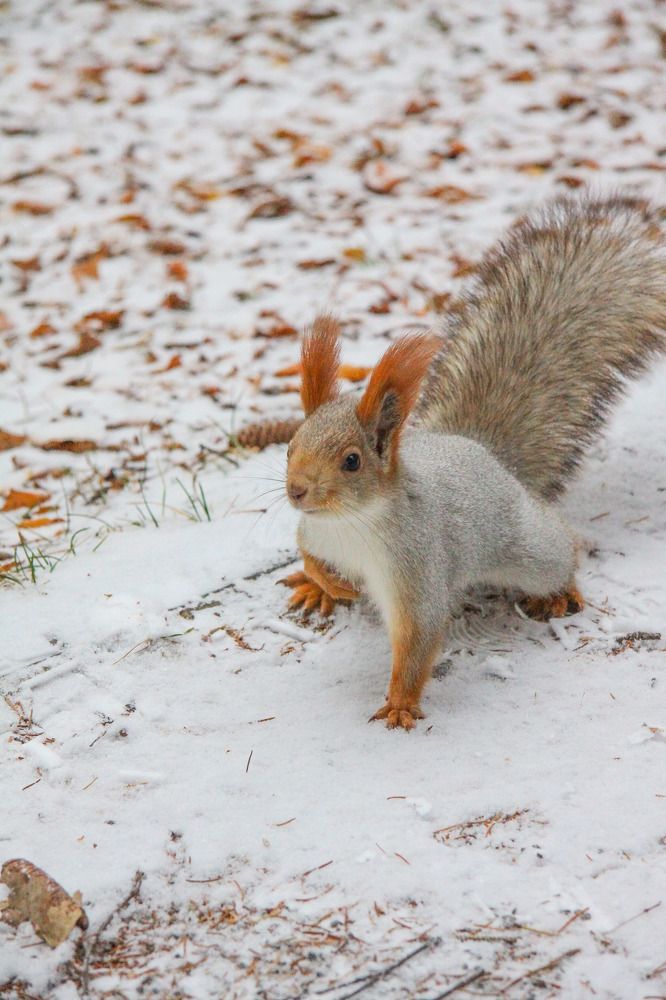 Photograph by Жанна Цветкова