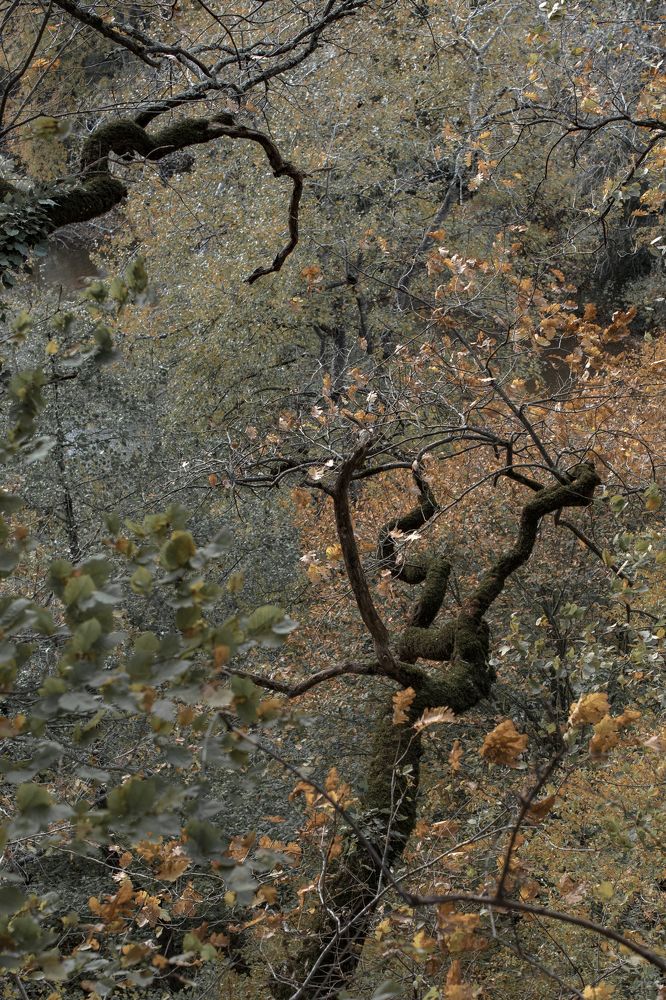 Photograph by Alexander Usenko