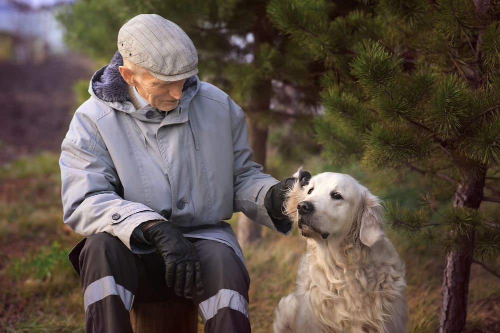 Photograph by Татьяна