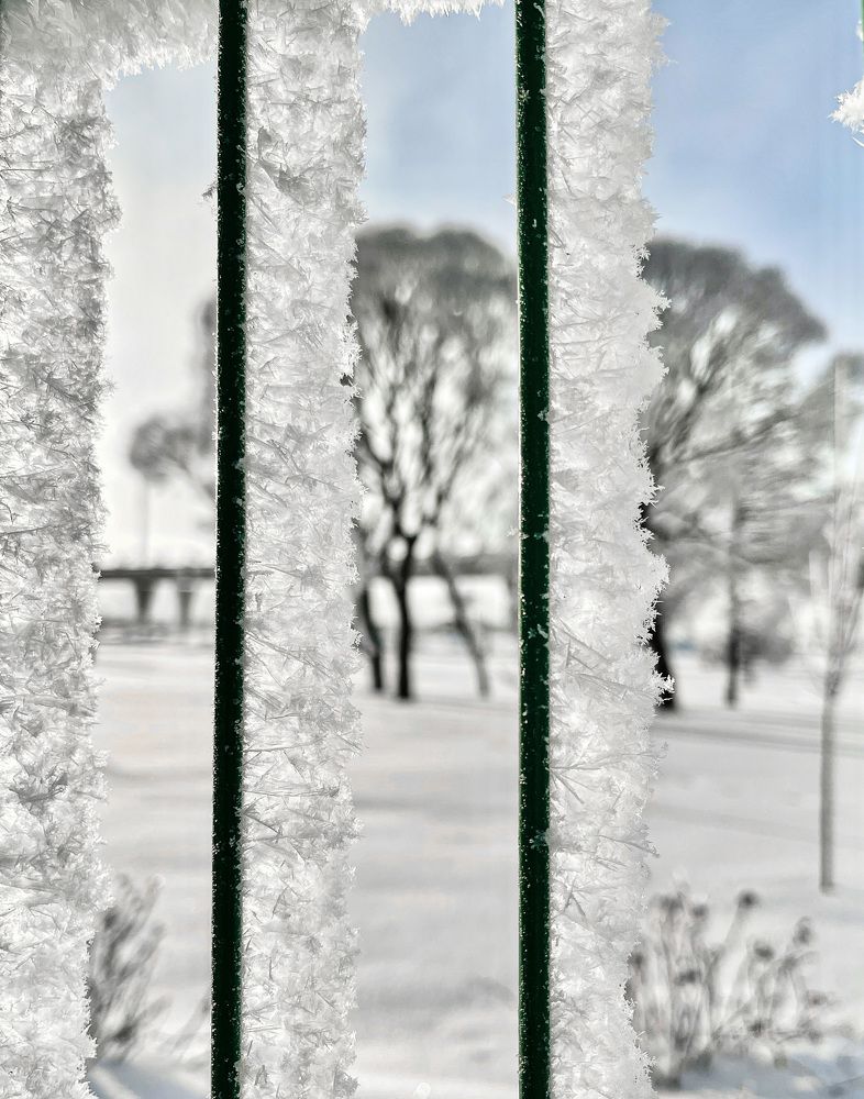 Photograph by Михаил Гордий