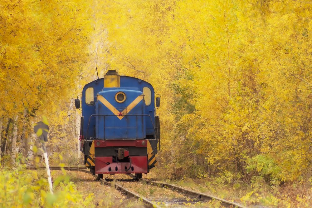 Photograph by Ильгиз Таипов