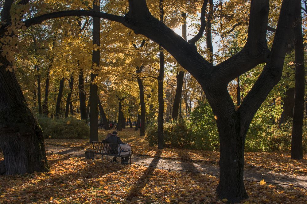 Фотография автора Антон Бразевич