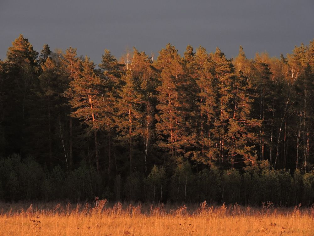 Photograph by Иван Венецкий