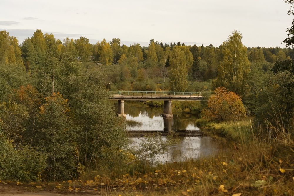 Photograph by Ludmila