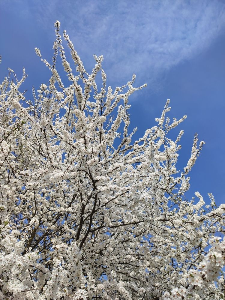 Photograph by Оксана Бурцева