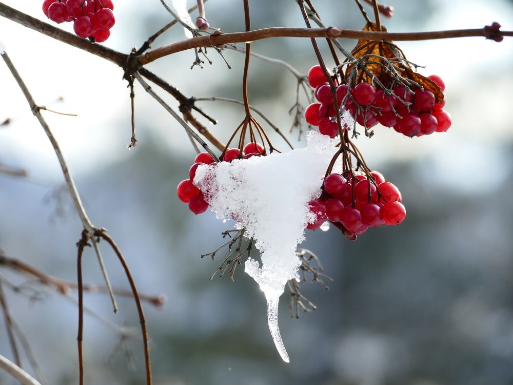 Photograph by Александр Кизим