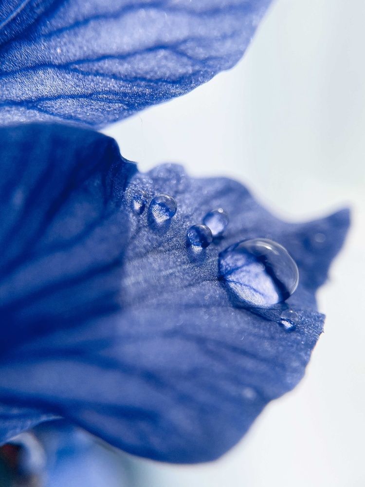 Photograph by Анна Бобкова