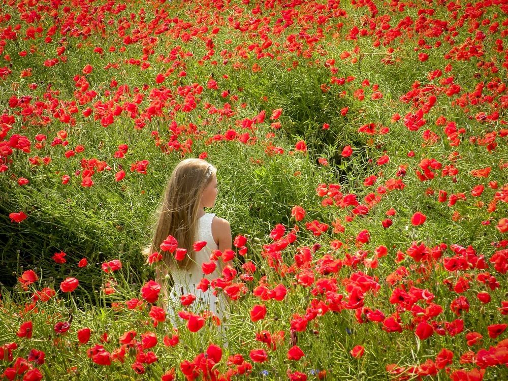 Photograph by Aleksandr Barsukov